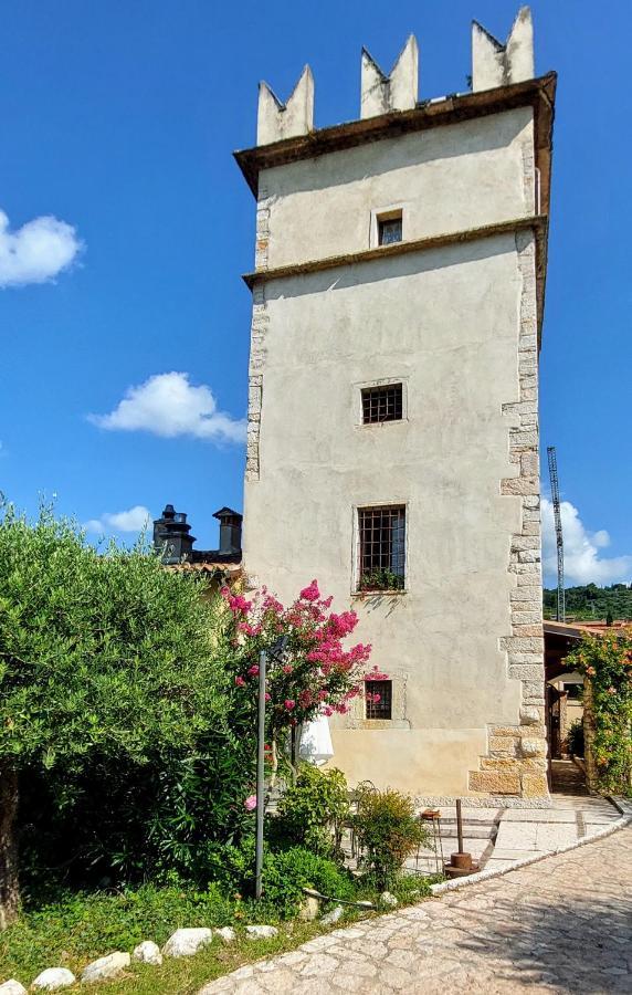 Azienda Agrituristica Corteforte فومانه المظهر الخارجي الصورة