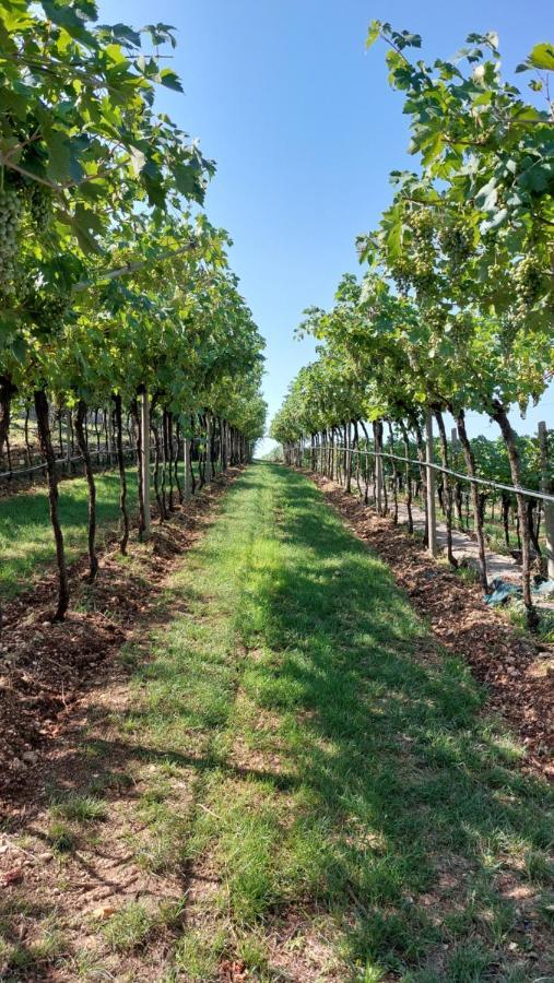 Azienda Agrituristica Corteforte فومانه المظهر الخارجي الصورة