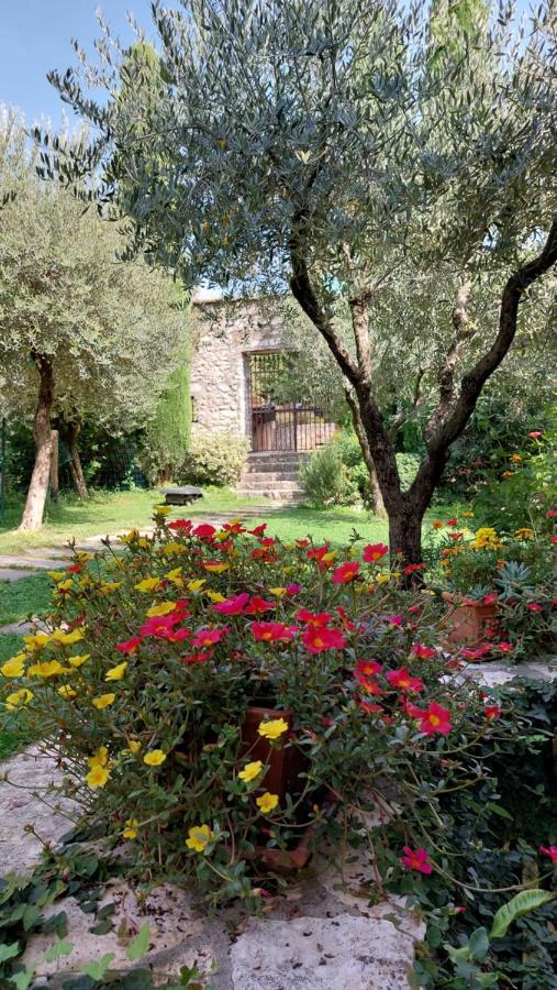 Azienda Agrituristica Corteforte فومانه المظهر الخارجي الصورة
