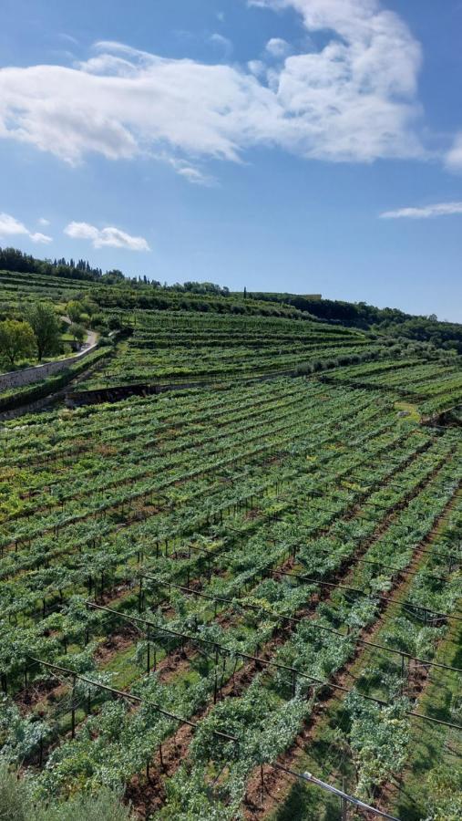 Azienda Agrituristica Corteforte فومانه المظهر الخارجي الصورة