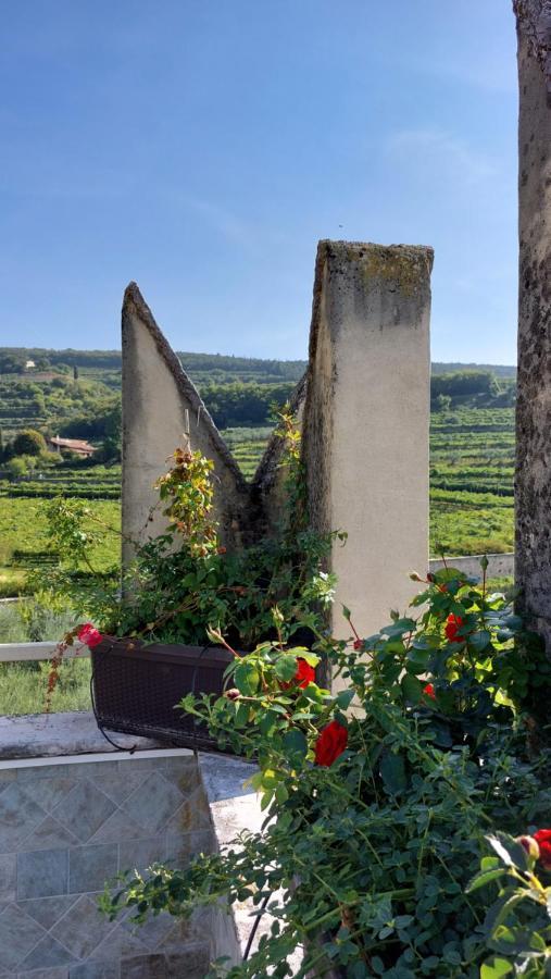 Azienda Agrituristica Corteforte فومانه المظهر الخارجي الصورة