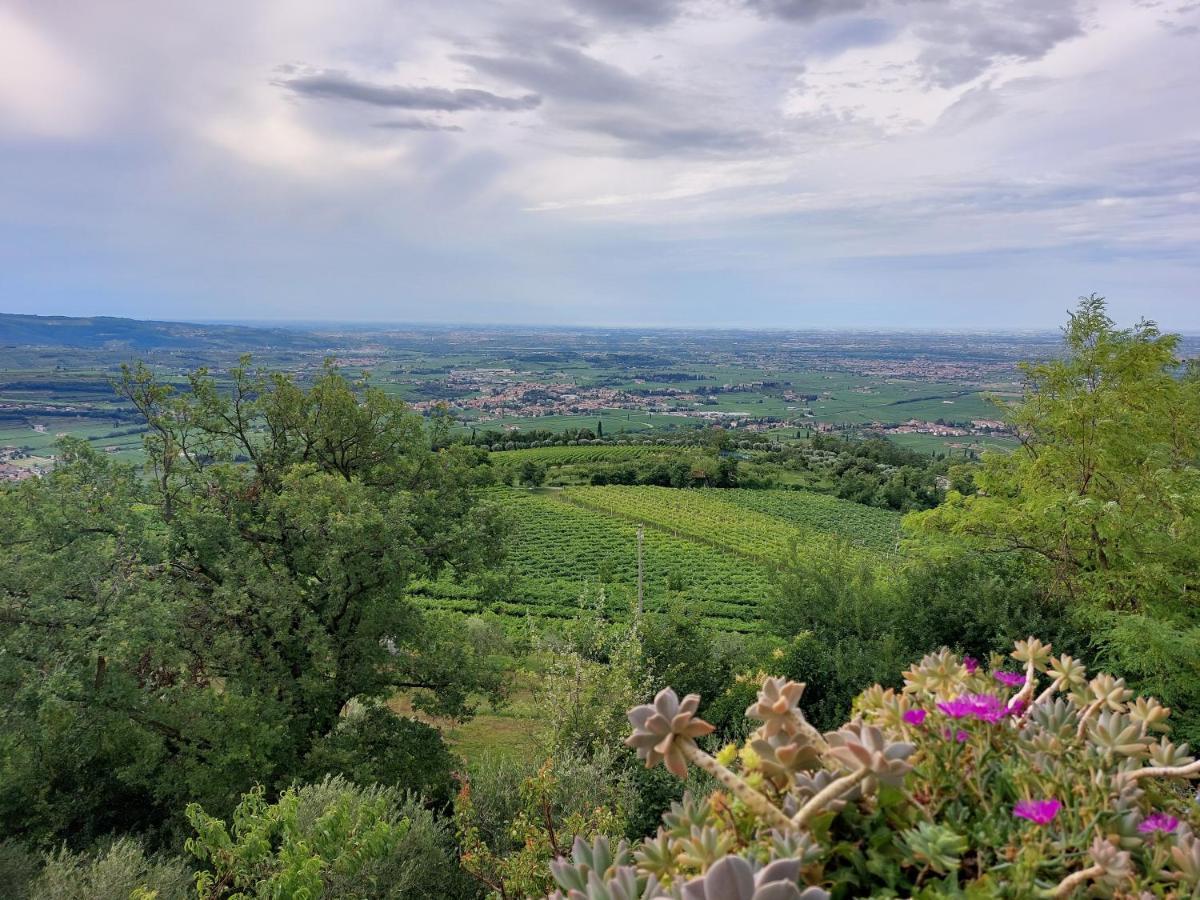 Azienda Agrituristica Corteforte فومانه المظهر الخارجي الصورة