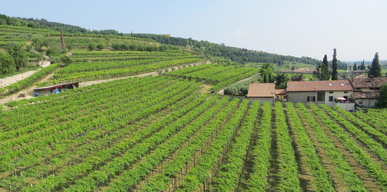Azienda Agrituristica Corteforte فومانه المظهر الخارجي الصورة